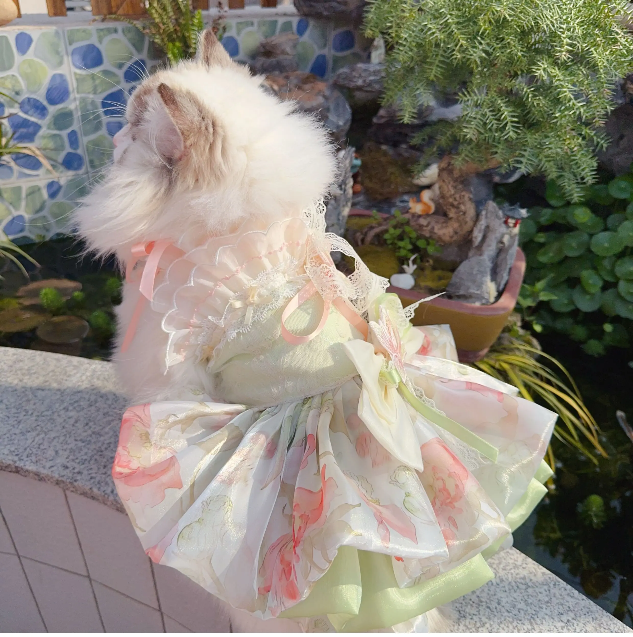 

Butterfly Princess Dress for Pet Dog Sweet Cute Chihuahua Soft Print Summer Pink Girl Mascot Super Small Size Dog Clothes