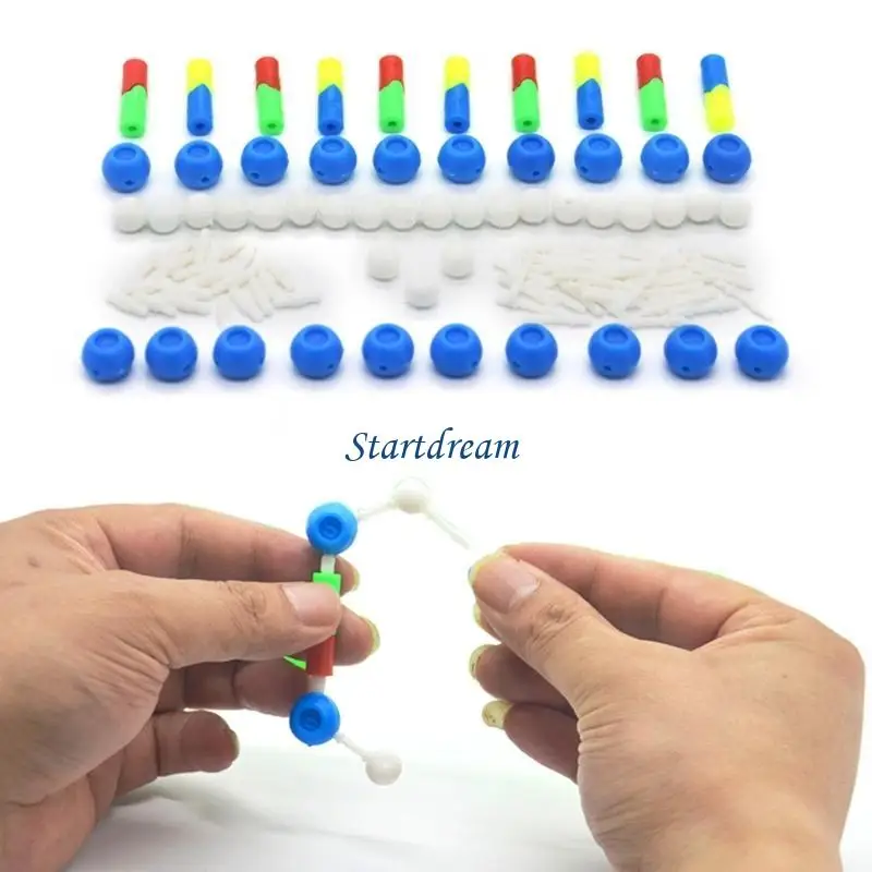 Deoxyribonucleic Acid Models Double DNA Models Set DNA Structure Models For Educational And Biology Teaching K92C