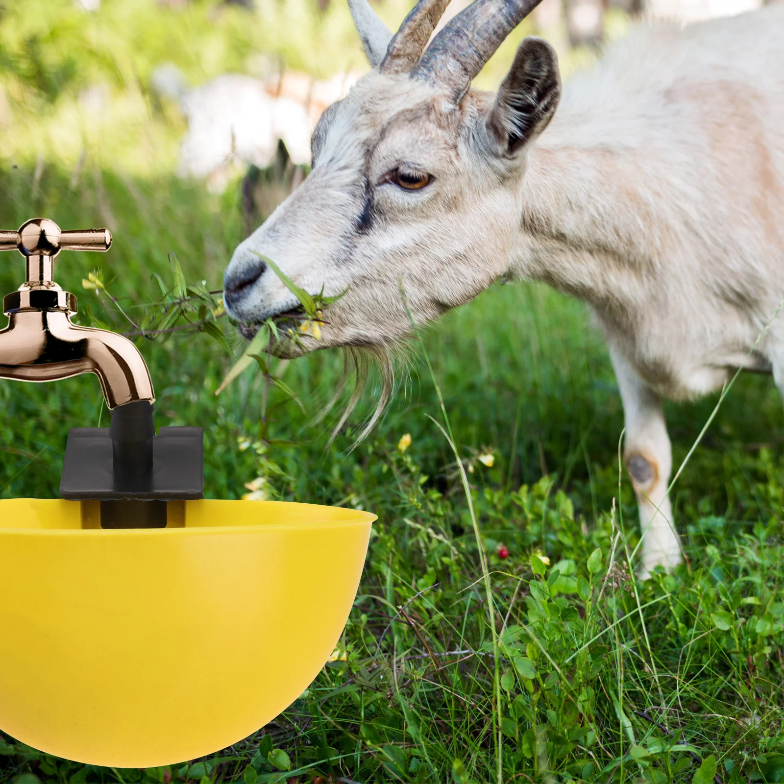 

15Pcs Poultry Water Dispenser Automatic Waterer for Chickens Ducks Geese Easy Install Environmental Friendly Farm Feeding Bowl