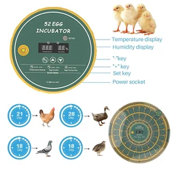 Wonegg Controller For HHD 52 egg incubator,Spare Part,PCB
