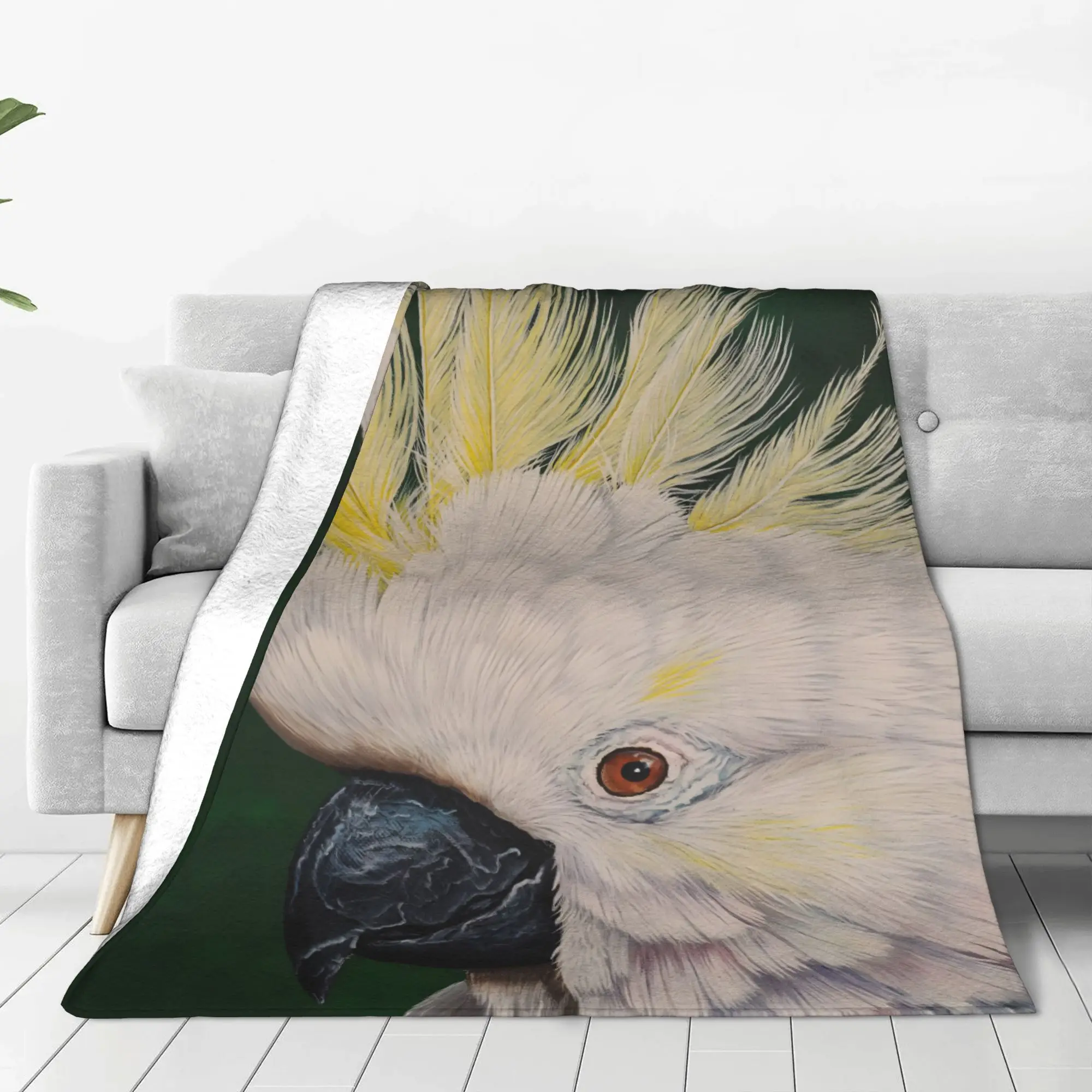 

Flannel Blanket Warm Soft Fluffy Adult Sofa Bed Throw Blanket for Living Room Comfortable Bedspread Outdoor Travel BL 101123