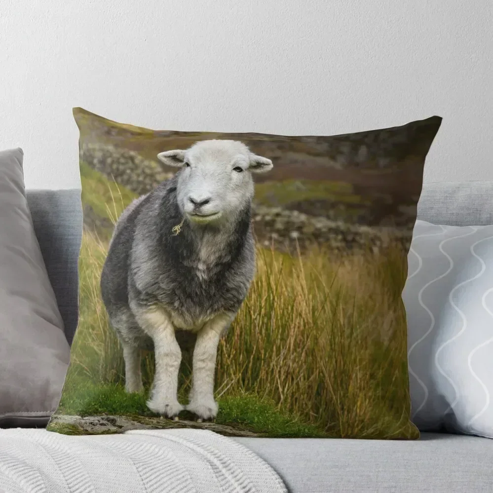 

Herdwick Sheep Throw Pillow Cushion Cover For Sofa pillow cover christmas Sofa Covers For Living Room covers for pillows pillow