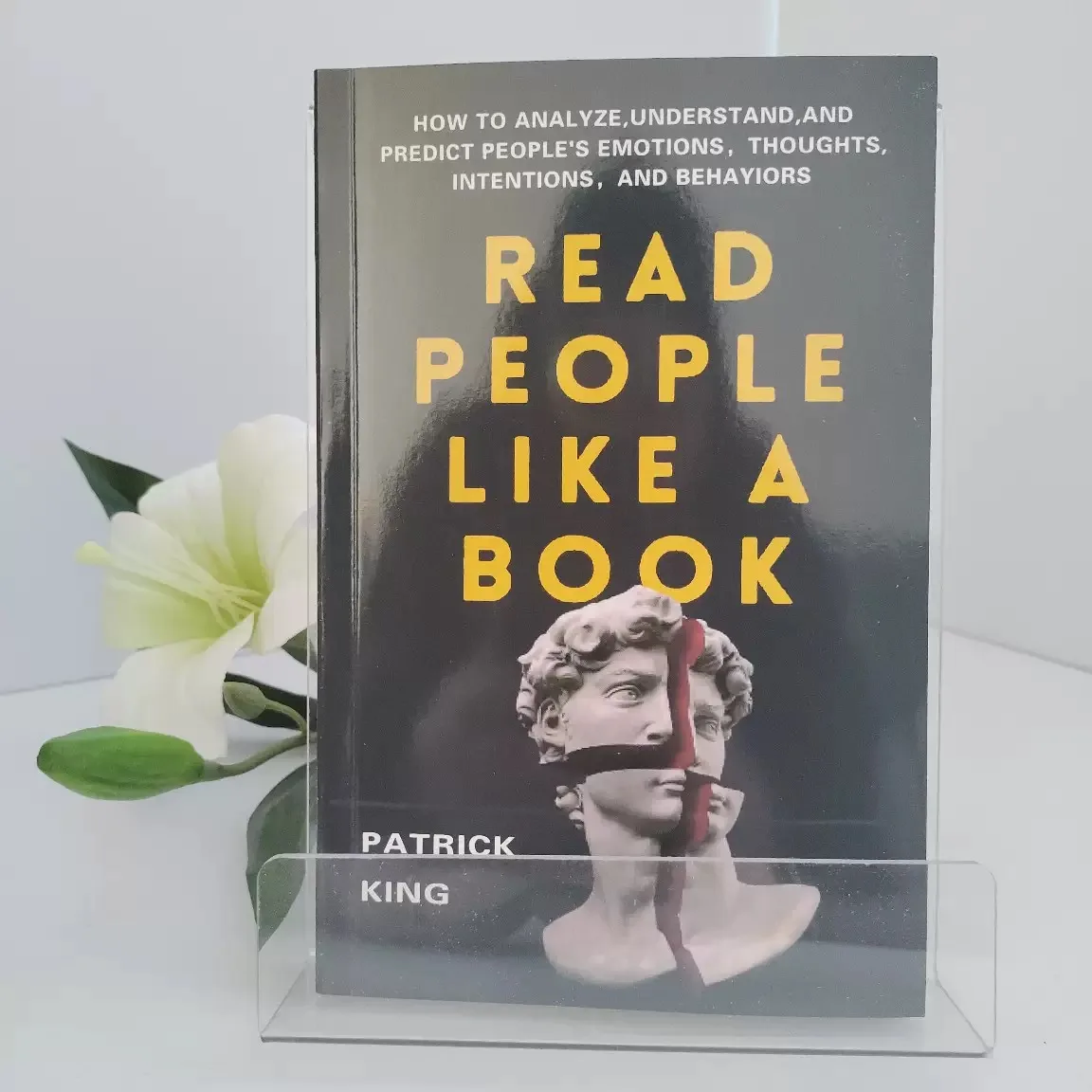 leia-as-pessoas-como-um-livro-como-analisar-compreender-e-prever-as-emocoes-pensamentos-intencoes-e-comportamentos-das-pessoas