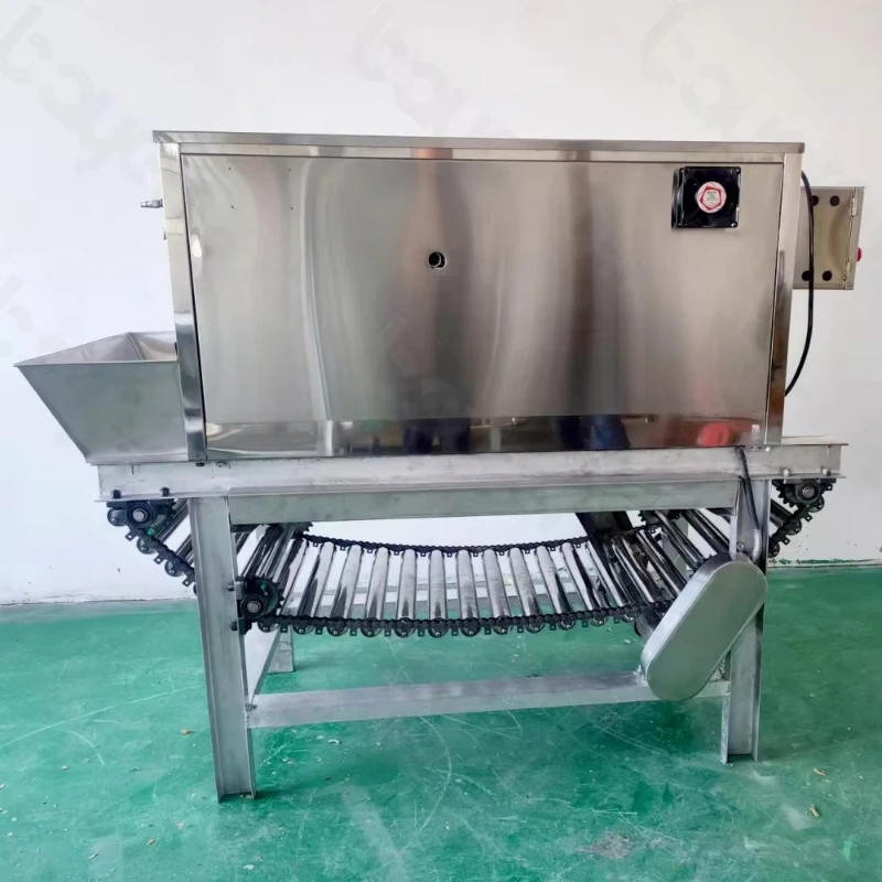 High-quality garlic peeling machine Automatic garlic processing line Industrial garlic peeling machine