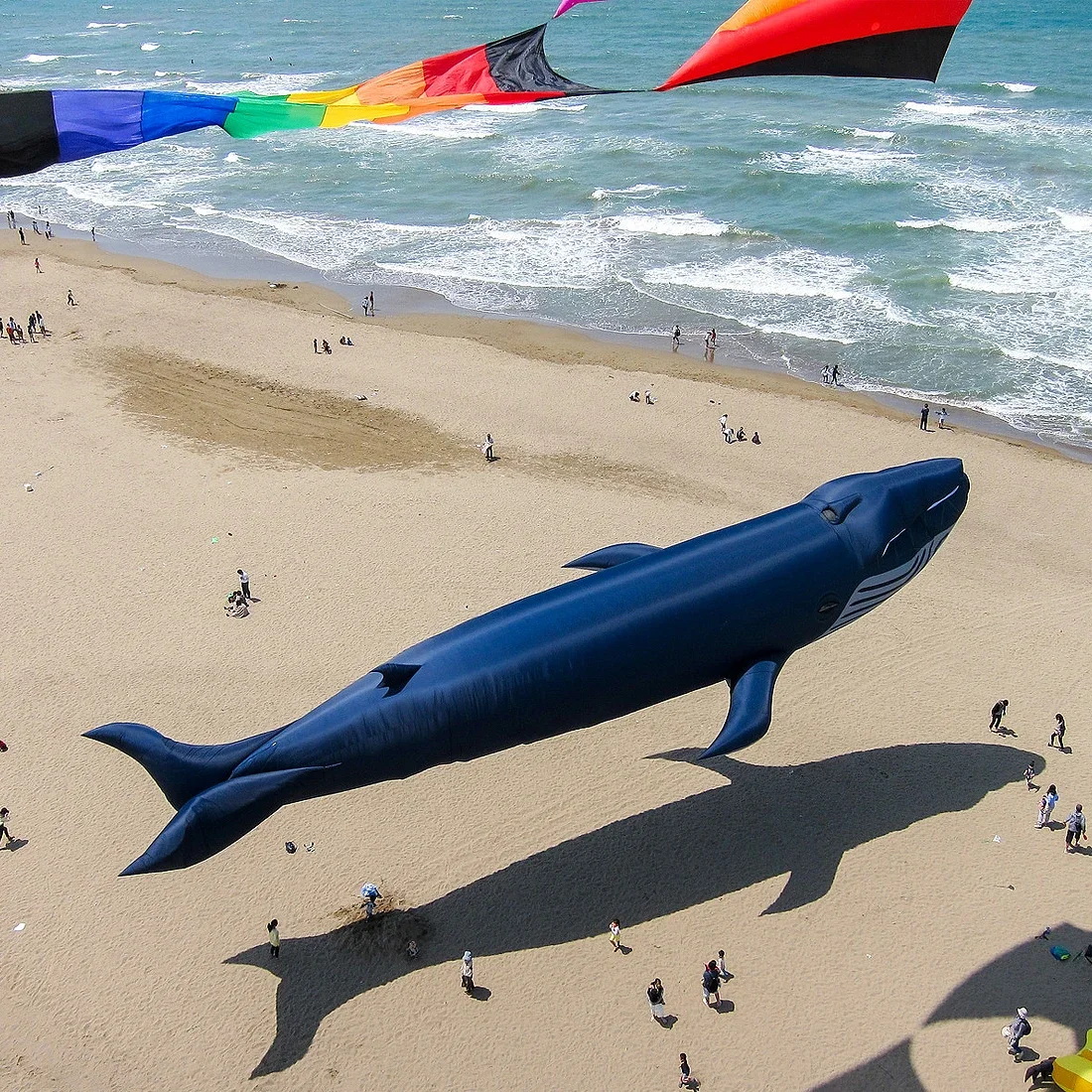 30D 9M Whale Inflatable Soft Kite Performance Hanger Beach Nylon Kites Tearproof and Easy To Fly Cometa Linha De Pipa