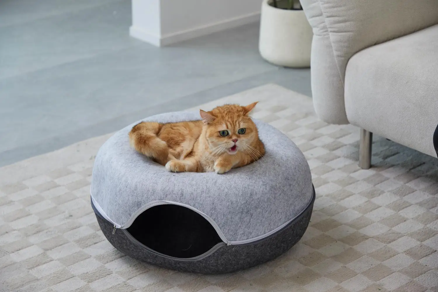 Cama de túnel hexagonal para gatos, cueva para gatos múltiples y grandes, resistente a los arañazos, lavable, desmontable, redonda, de fieltro