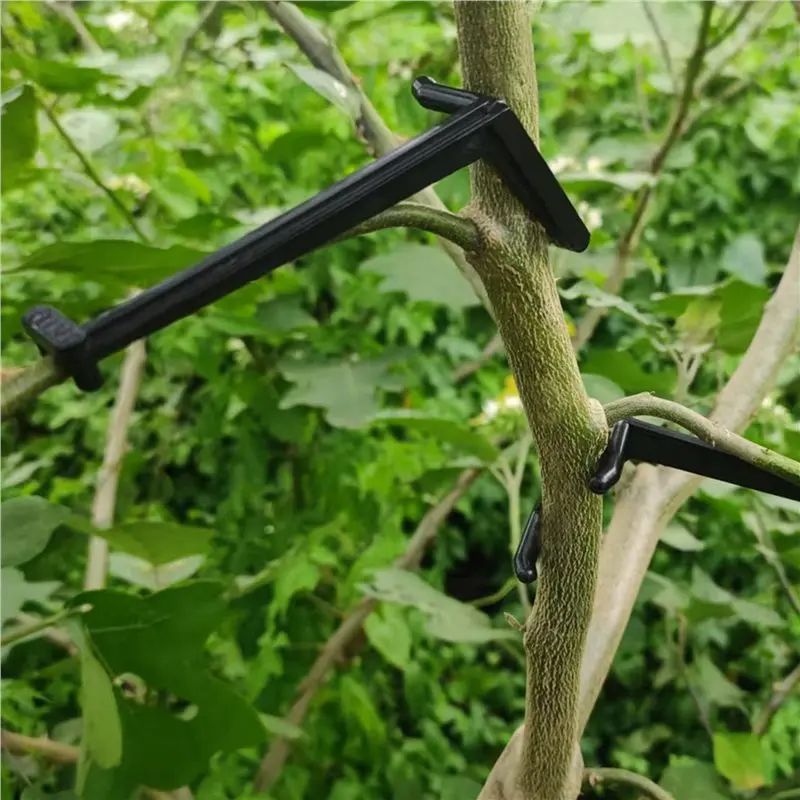 Professional 60X Branch Spreaders Plant Stem Traine Fruit Tree Branch Puller Tying Machine Farm Tools New Plum Tree Open Angle