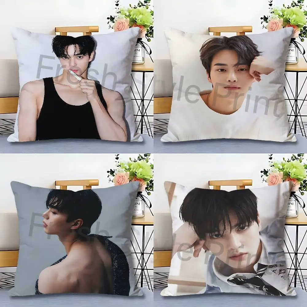 S-Song K-Kang Actor Anime Celebrity Merchandise All-Match Printed Pillow Case Sofa Car Office Room Decoration Protector