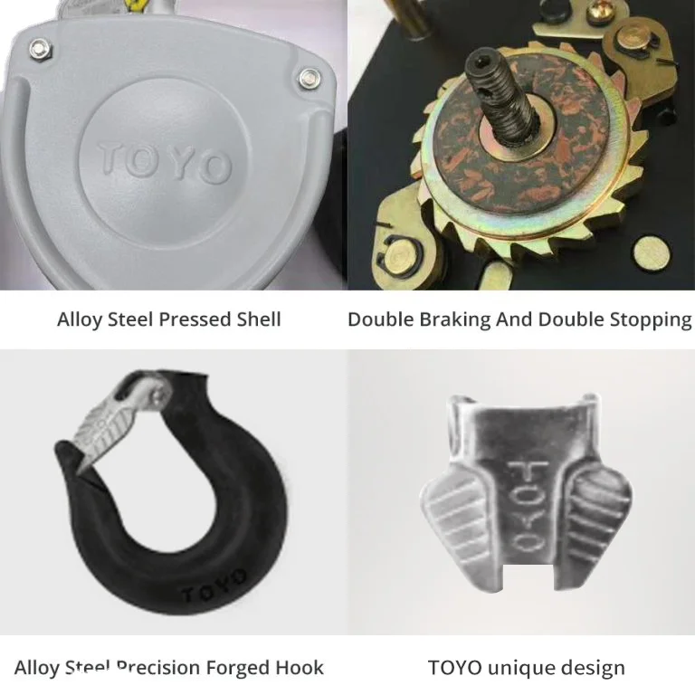 Toyo CA Heavy Duty Chain Pully Block Manual Good Price 1Ton 6 Meter Chain Block Home Use Machinery Repair Shops