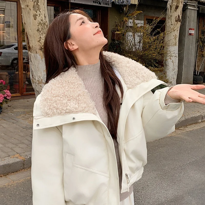 Trendy Fleece Thicken Warm Short Leather Jacket Shearling PU Leather Cotton Lining Women's Winter New Zipper Leather-Cotton Coat