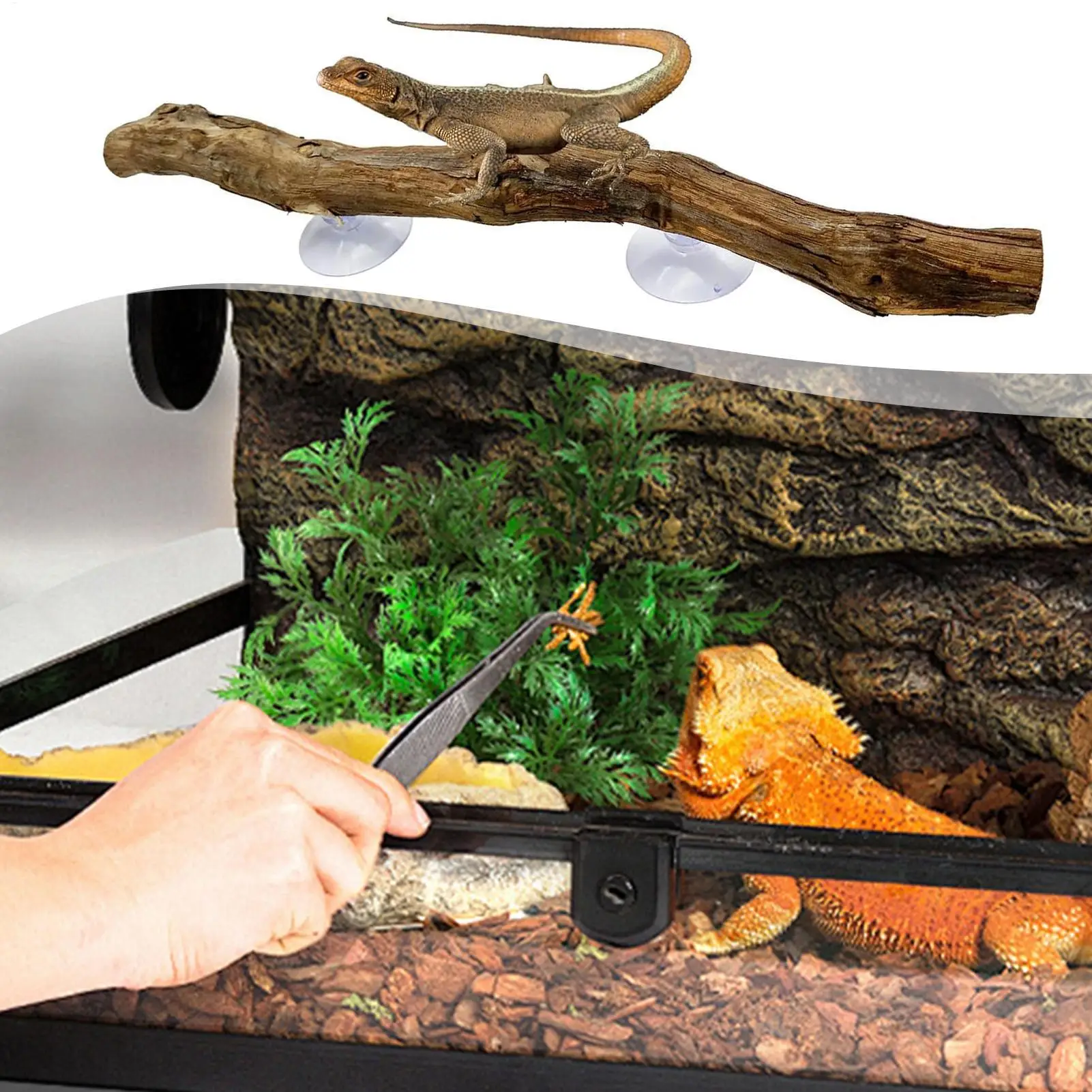 Ramas para reptiles para trepar, rama única para dragón barbudo, decoración de reptiles, adorno de tronco de árbol de madera, decoraciones para hábitat, antideslizante