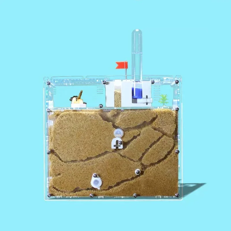 

Ant Ecological Box Castle Scientific Experiment Observation Is Convenient for Students To Use Transparent