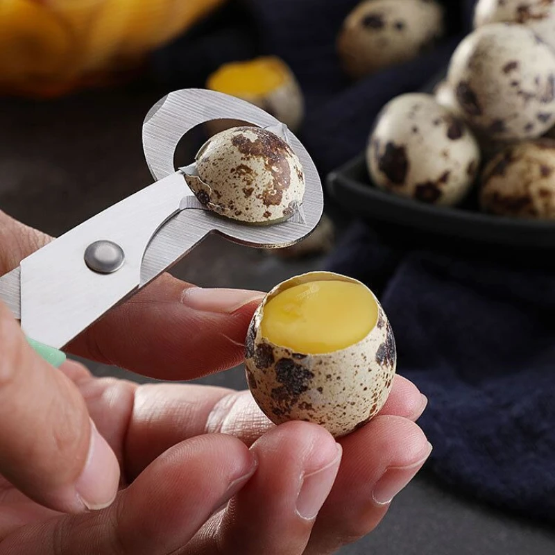 1pc Eggshell Cutting Scissors - For Quail and Bird Eggs - Easy to Use and Durable, for Egg Opening, Shell Cracking,Egg Splitting