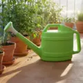 Green 3.5L
