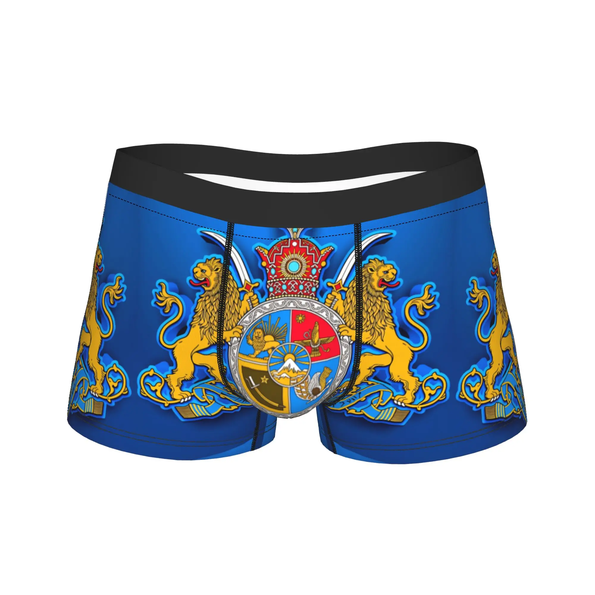 

Мужские трусы с изображением флага Ирана и льва, забавные трусы-боксеры на заказ, высококачественные шорты-брифы больших размеров