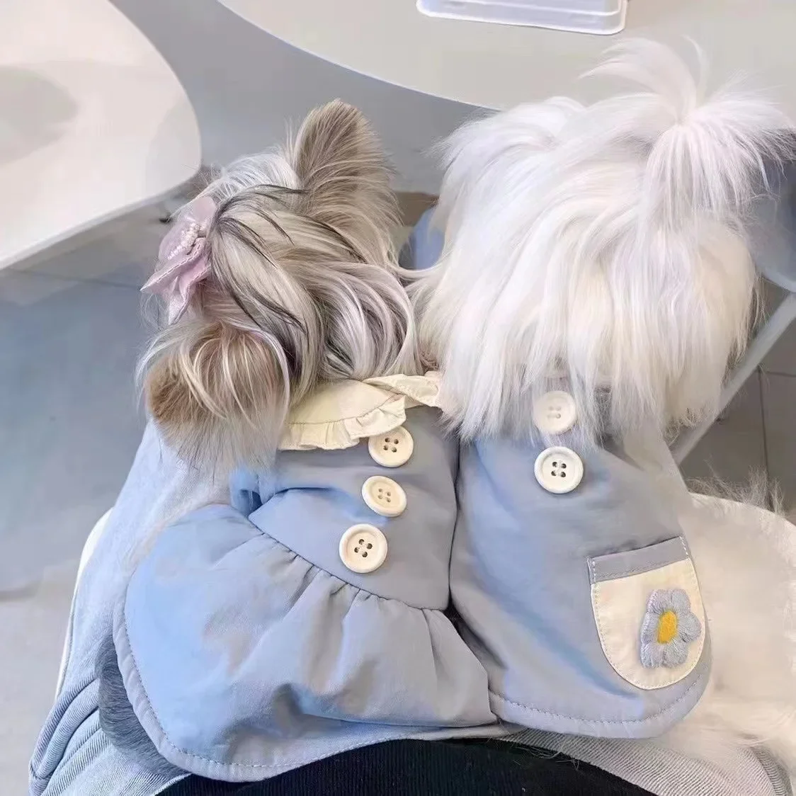 Ins Dog Cotton Coat Couple Coat Pet Autumn/Winter Skirt Schnauzer Maltese Small Medium Sized Dog Dog Jacket Puppy Clothes