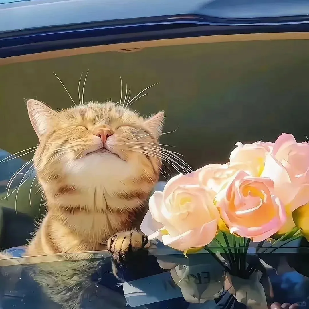 

For Jeep Wrangler JK 2011-2017 Android Car Radio 2Din Autoradio Stereo Receiver GPS Navigation Multimedia Player Head Unit