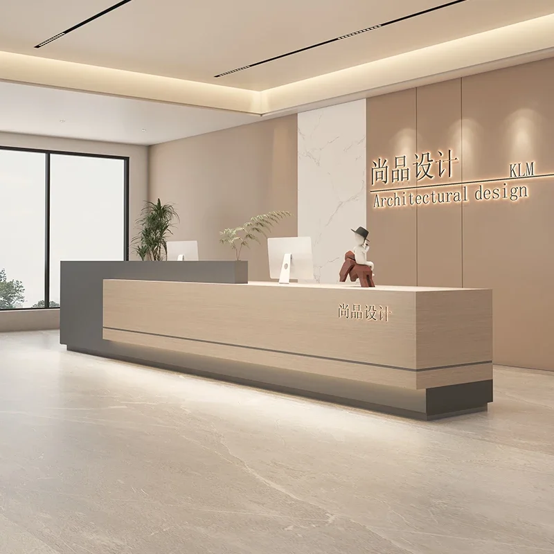 Reception Desk Modern Professional Aesthetic Advanced Table Atelier Front Counter Clothes Office Furniture Empfangstheke Center