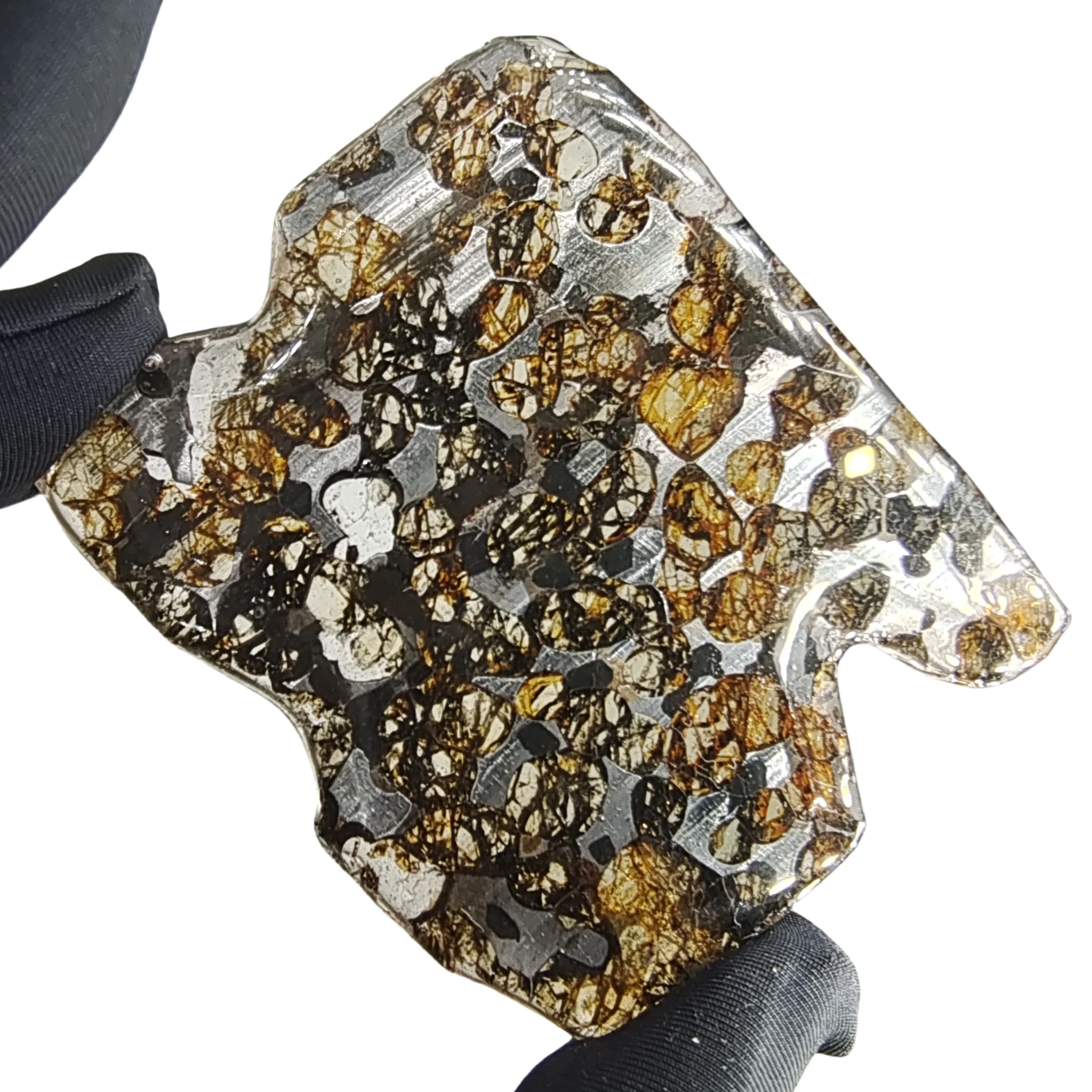 20g Seymchan Pallasite Olive Meteorite Slices Specimen Natural Meteorite Material Sliced Collection - TA663