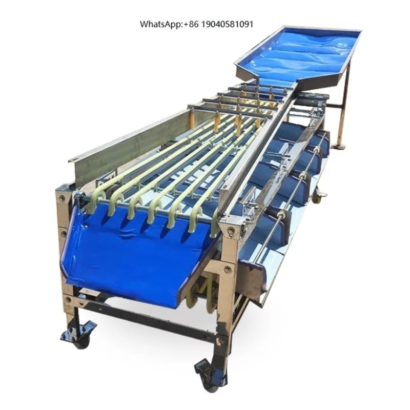 Potatoes Garlic Cherry Plum Dates Cashew Pineapple Sorter Sorting Grading Machine for Vegetable Fruit