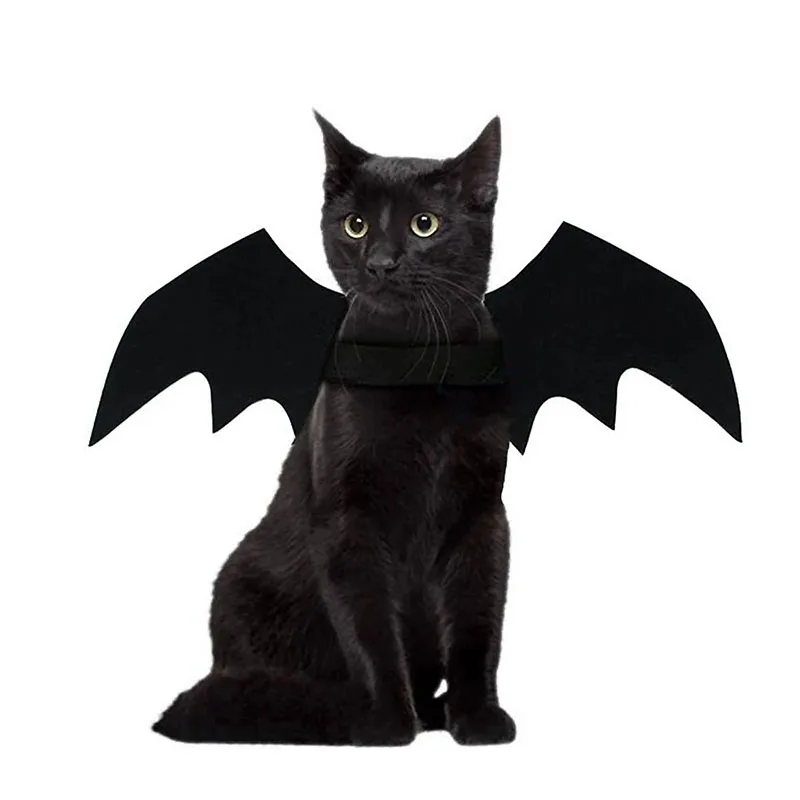 Bat Wings Vampire Cat Clothing Black Cute Fancy Dress Up Pet Dog Halloween Holiday Christmas Party Costumes Gifts Funny Clothes