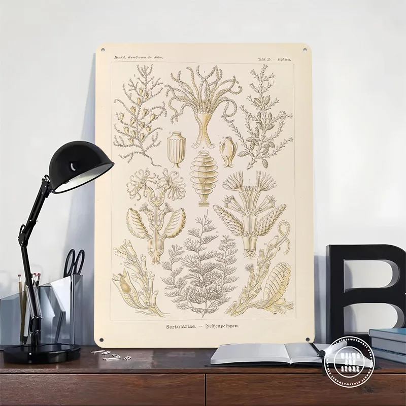Ernst Haeckel Sertulariae Biological Poster Retro 3D Printed Metal Signs Customized Wall Hanging Gift for Home Decor Ornaments