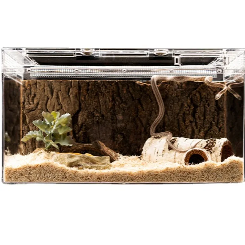 

Reptile ecology acrylic breeder rainforest high definition transparent reptile breeder pet cage