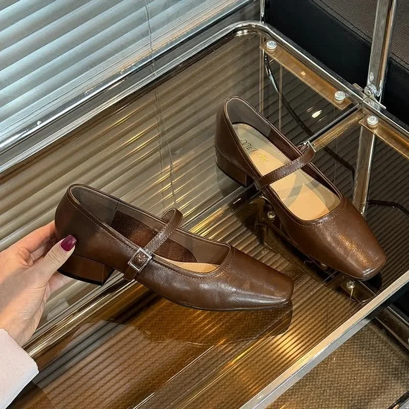 Mary Jane Single Shoes Thick Heel Shoes Elegant Classic Retro Square Toe Comfortable Soft Shallow Cut Low Heel Women's Shoes