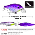 COLOR H