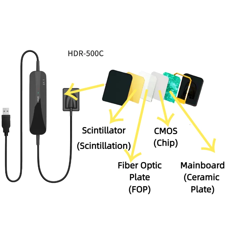 HD Image Dental Sensor Portable Rayos X Digital RVG Intraoral Sensor Radiovisografo Dental Products Dentist Tools