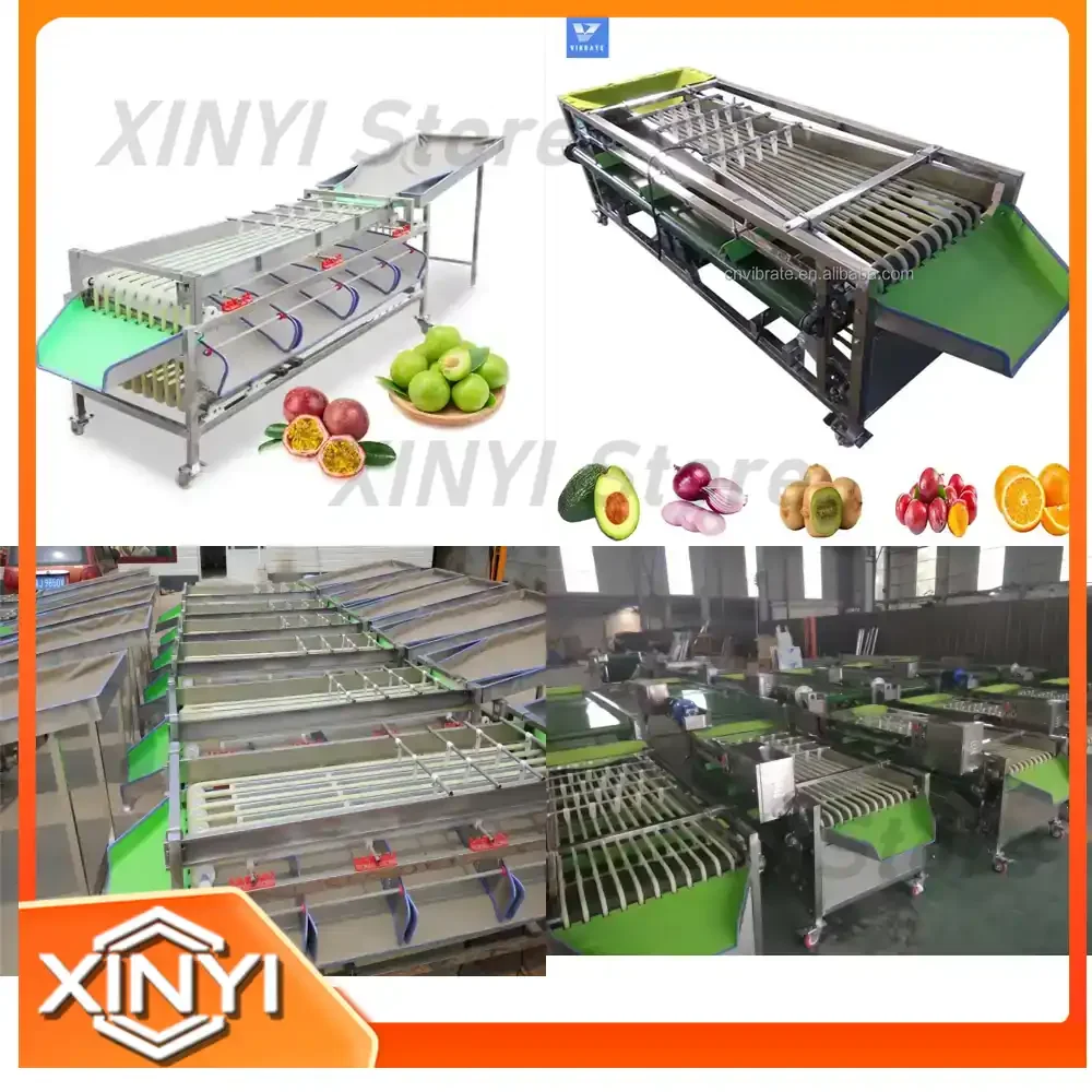 VBJX for Electronic Fruit Vegetable Potato Garlic Cherry Orange Mango Grading Sorting Machine Line for Agricultural