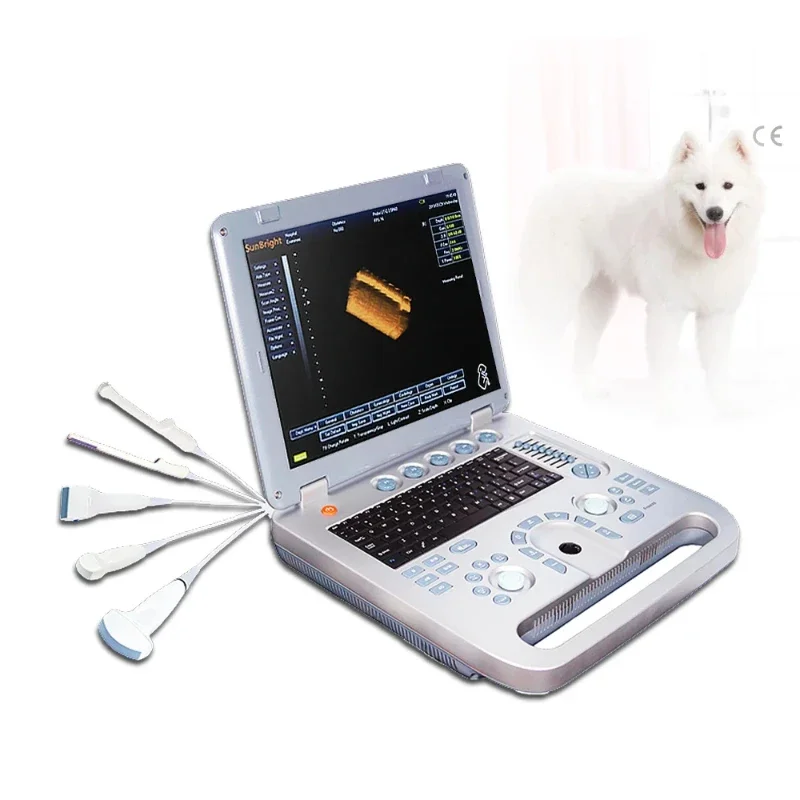 

Veterinary Ultrasound Machine Portable Ultrasound Dog Cat Scanning Machine SUN-800D