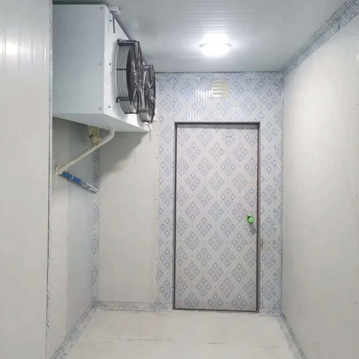 Frutta Verdura Carne Pesce Congelatore Camera Fredda