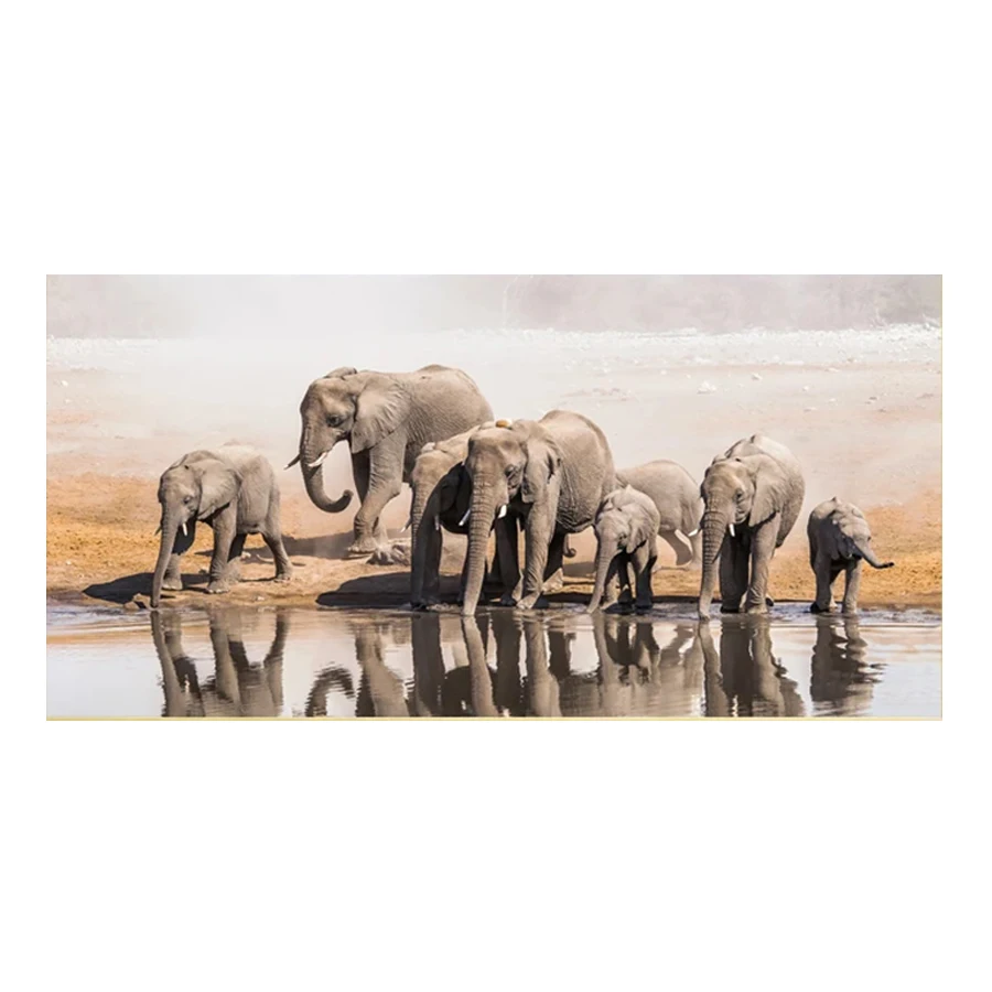 5D DIY Diamond Embroidery Picture African Plain Wildlife Animal Elephant Diamond Painting Cross Stitch Mosaic Wall Art