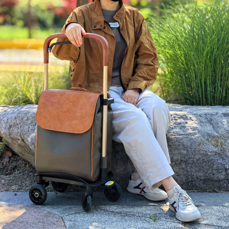 

Shopping, walking, traveling, shopping trolley, telescopic rod, portable, elderly, brake assistance, handrail, luggage