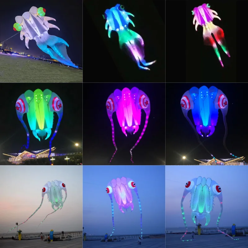 

Free Shipping led kites flying for adults kites led octopus kites jellyfish kites goldfish kites trilobites kites inflatable koi