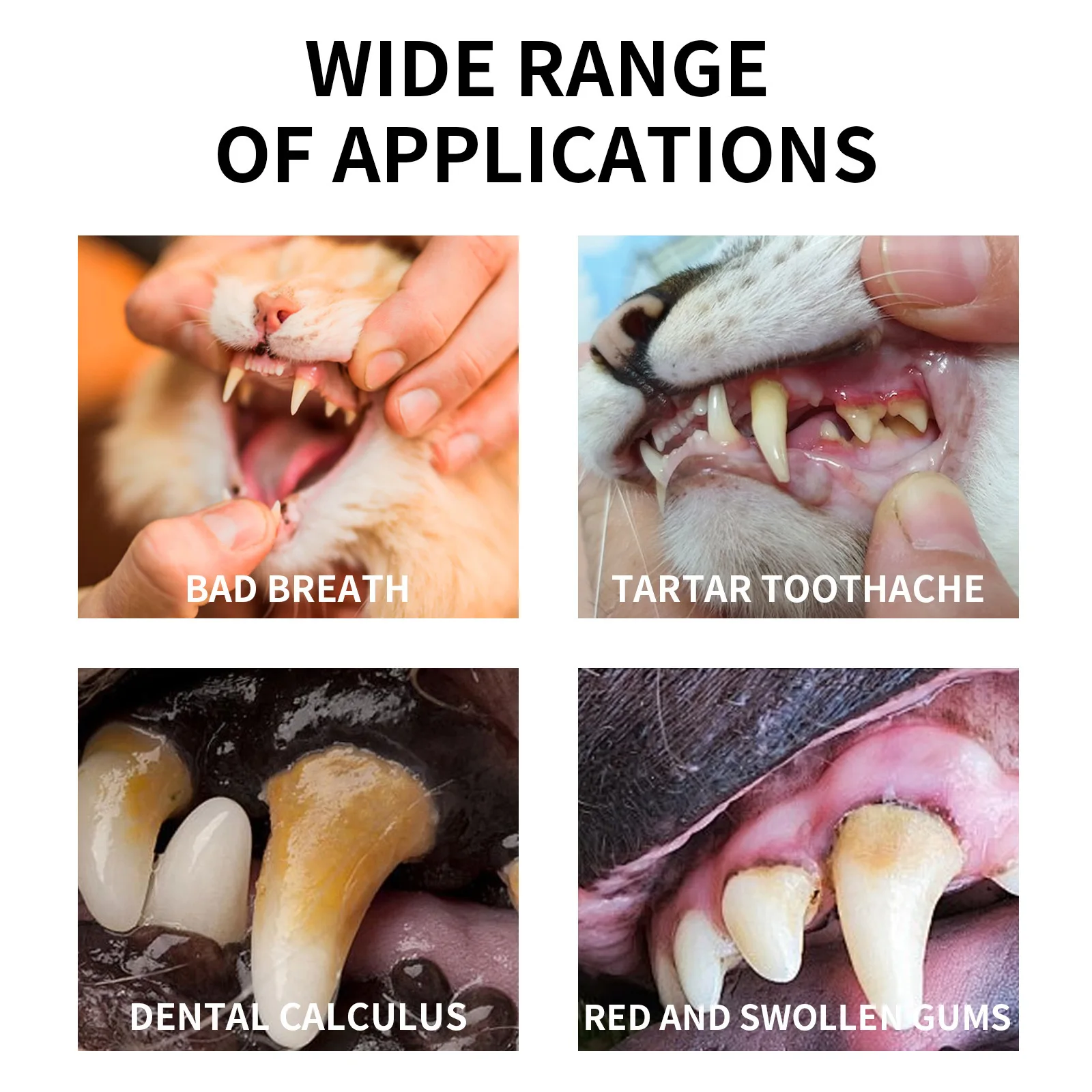 Спрей для чистки рта домашних животных, отбеливающий дезодорант для дыхания и полости рта, для удаления дневного дыхания, для кошки