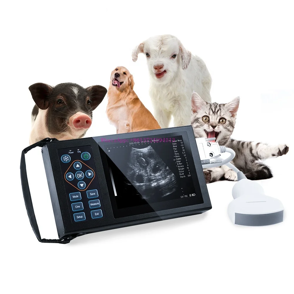 

A10 Sixteen Colors Fast Measurement Animal Price Vet Machine Veterinary Ultrasound Portable