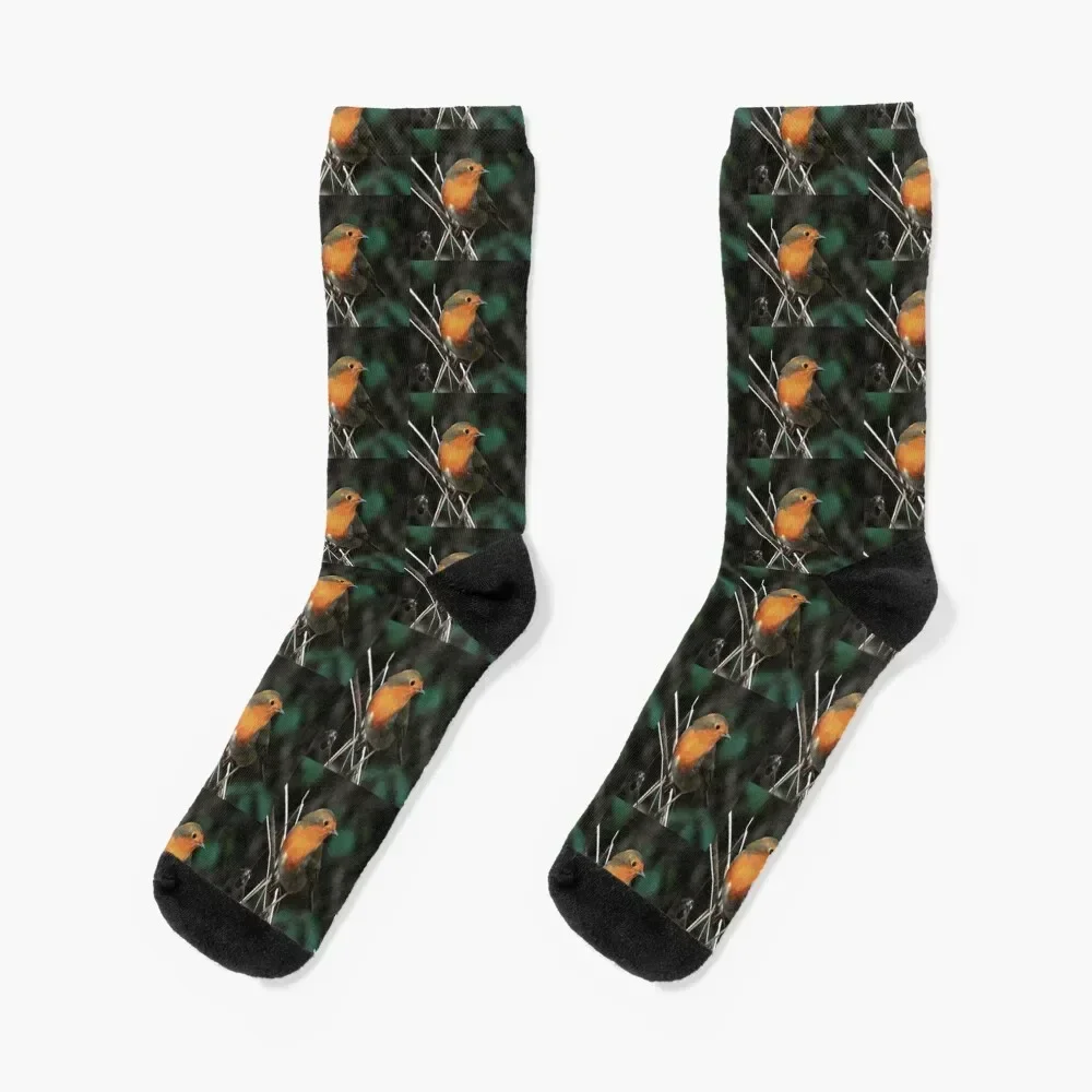 

Robin Being Bright On A Dull Day Acrylic Art Socks floral essential funny sock loose Socks Girl Men's