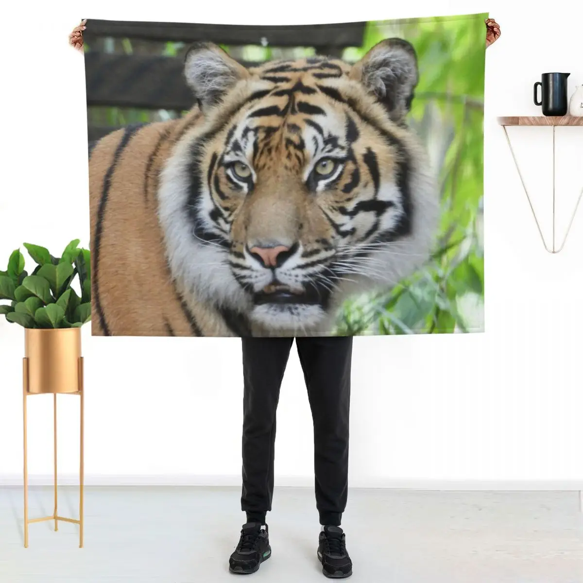 Sumatran Tiger face at Zoo Throw Blanket Warm Napping Blanket for Office Couch Bed