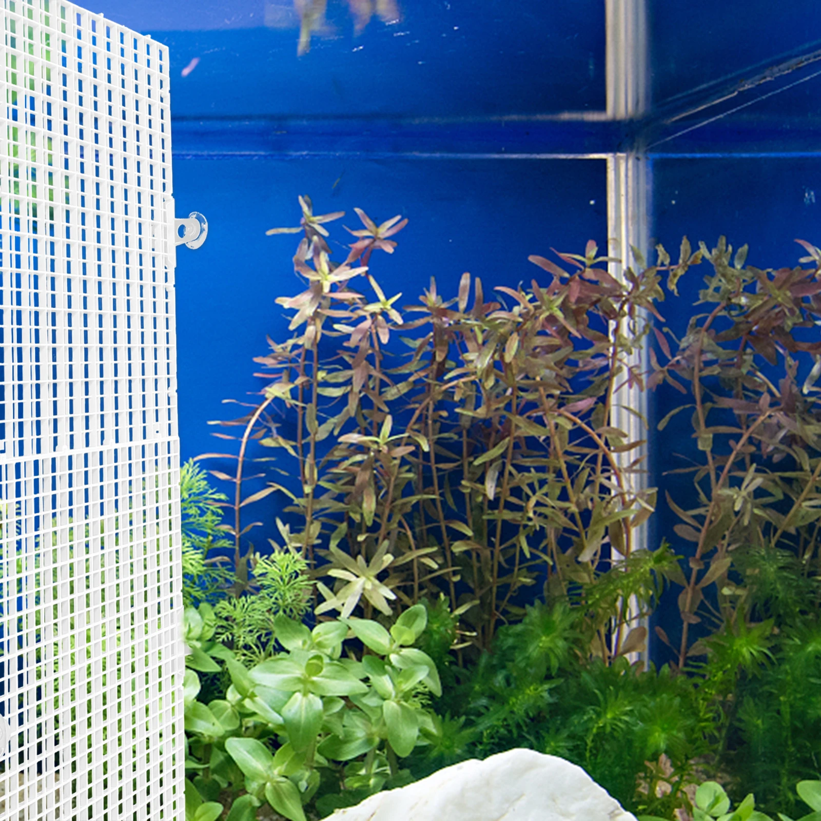 

2 Pcs 30x30cm White Fish Tank Escape Plate Aquarium Divider for Betta Plastic Grid Reptiles Safety Anti Escape Baby Fish