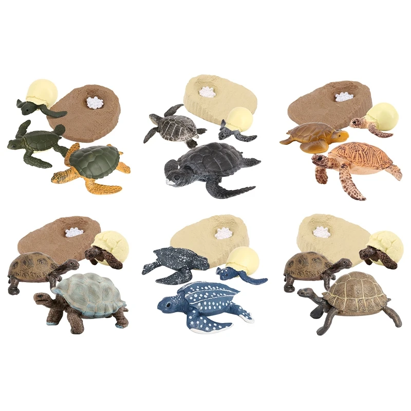 Simulation de la vie animale de la tortue, jouets pour enfants, subventionnement de la croissance des animaux, modèle de croissance des animaux