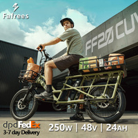 Fafrees FF20 CUV Electric Bike for Adults 250W Cargo E-bike with 48V 24Ah Removable Battery