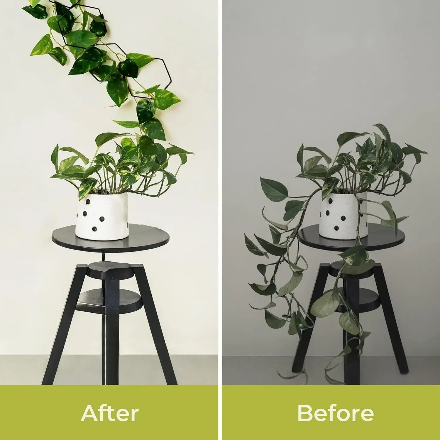 Elegant Hexagonal Metal Plant Trellis for Indoor/Outdoor Gardens - Durable Black Climbing Plant Support for Monstera, Pothos, Iv