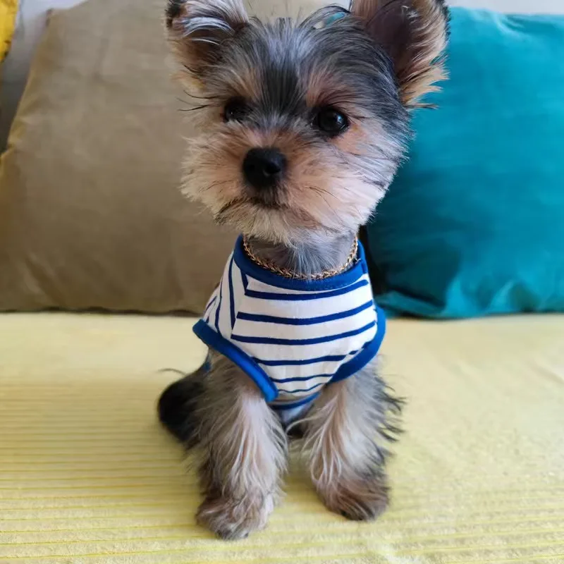 Casual Yorkshire Terrier Dog Clothes Summer Stripe Pet Sleeveless Vest for Small Dogs Puppy Chihuahua Shirts mascotas Clothing