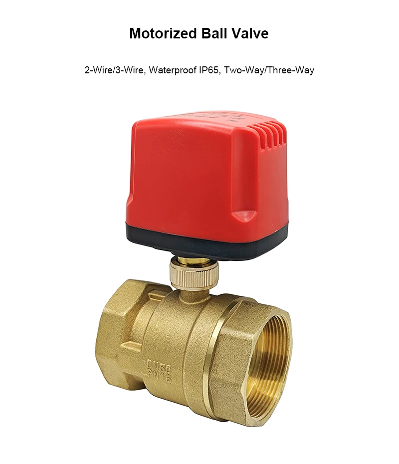 DN15-DN50 Motorisierter Kugelhahn 2-Draht/3-Draht Wasserdicht IP65 2-Wege/3-Wege Elektrische Wasserventile Innengewinde 12V 24V 220V – Detail 1