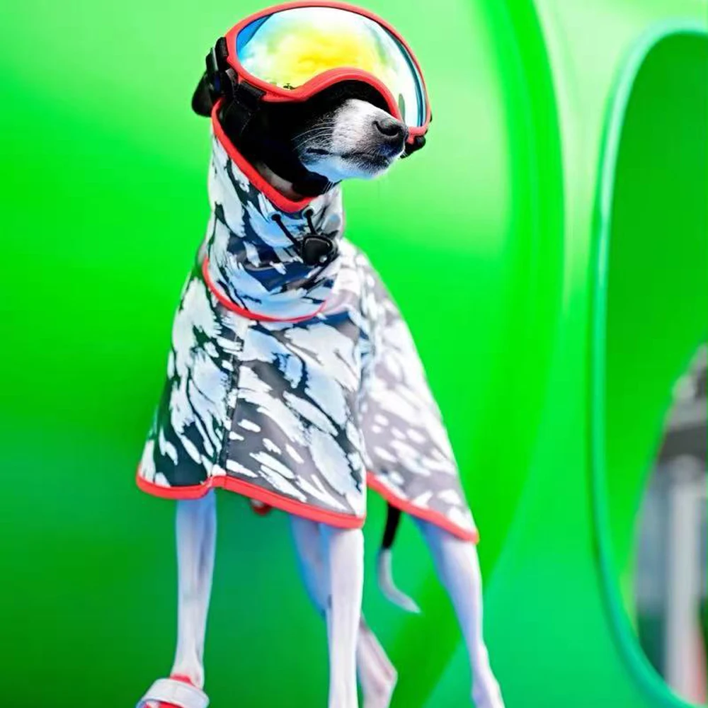 giacca-impermeabile-alla-moda-per-whippet-cappotto-traspirante-con-motivo-a-pois-per-levriero-italiano-impermeabile-a-collo-alto-per-terrier