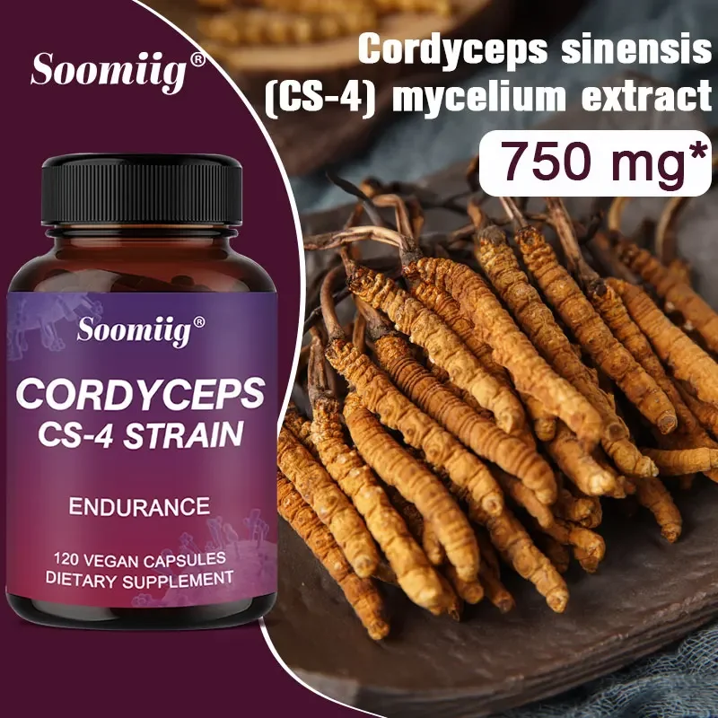 Cordyceps CS-4 Strain 750 Mg - Natural Energy Supplement, Athletic Endurance, 120 Vegetarian Capsules