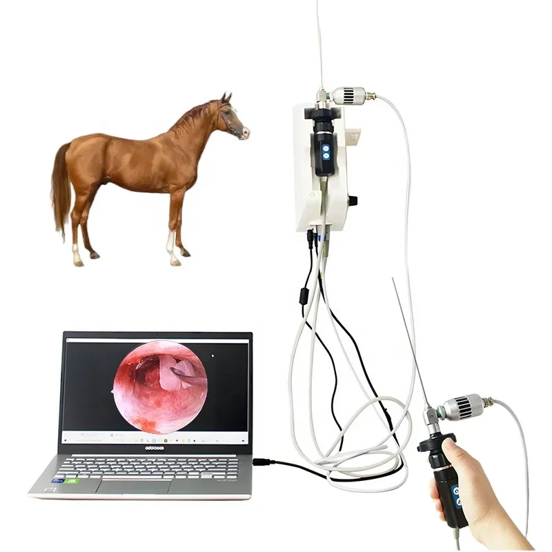 

HD Video Endoscope System Wall-mounted Portable Medical Endoscope Camera System With LED For Horse Animals Pets