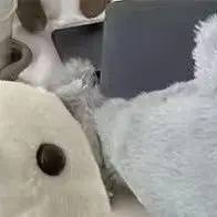 INS الكرتون أفخم حقيبة أقلام رصاص الإبداعية البحر قضاعة الشكل سعة كبيرة مقلمة لطيف المخملية مقلمة طالب القرطاسية  #1